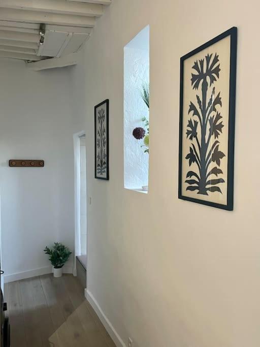 Appartement Renove De Caractere/ Parking Prive Saint-Rémy-de-Provence 외부 사진